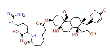 3-(N-Pimeloyl argininyl)-hydroxyhellebrigenin